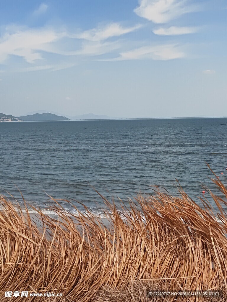 秋日海滨开阔海景 红海湾
