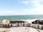 海边沙滩风景 红海湾