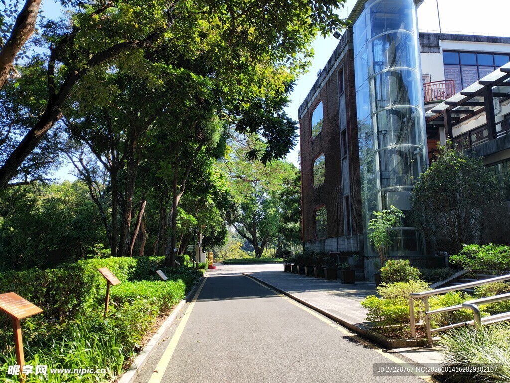 园区林荫步道风光 罗浮山
