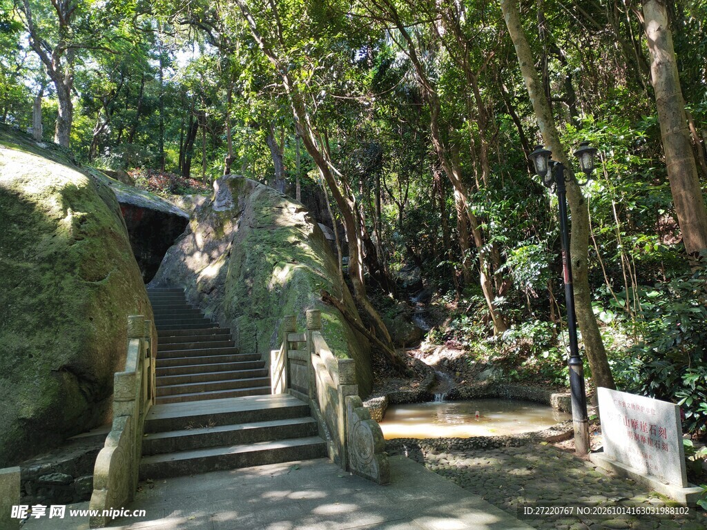 林间石阶步道风光 罗浮山