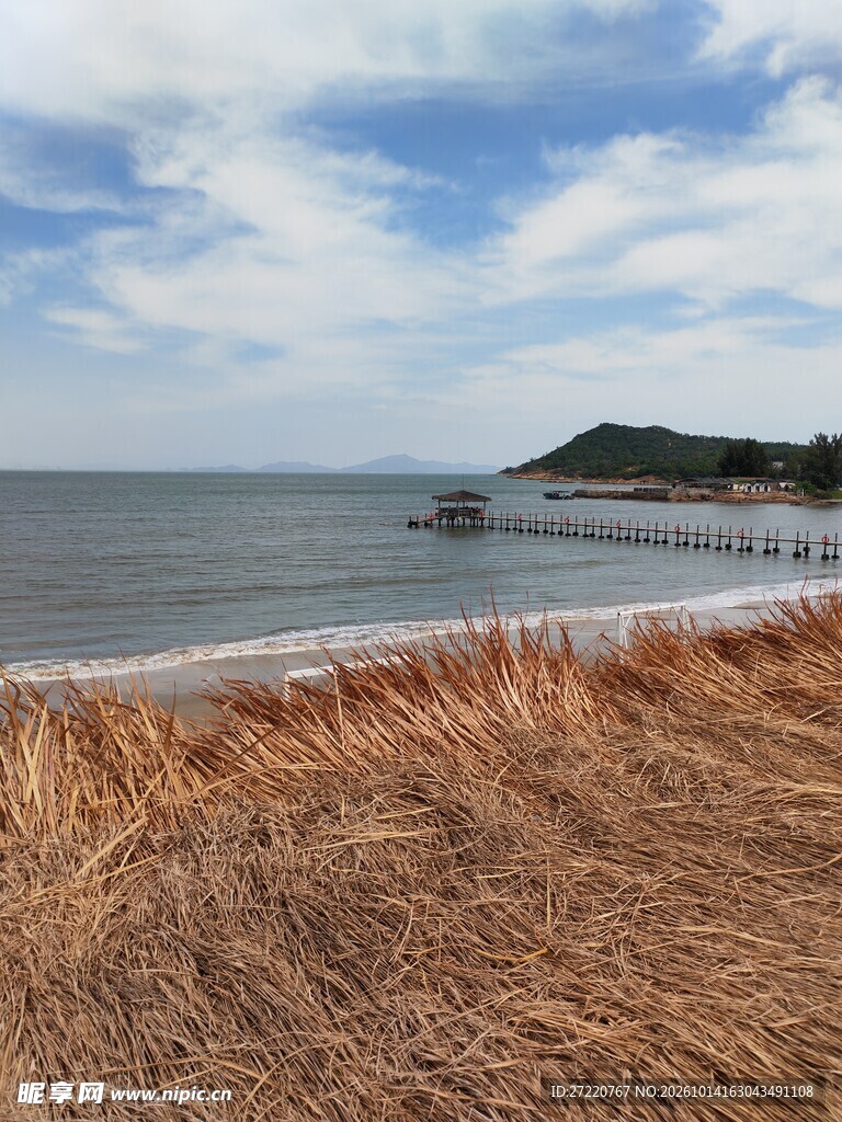 秋日海岸风光 红海湾