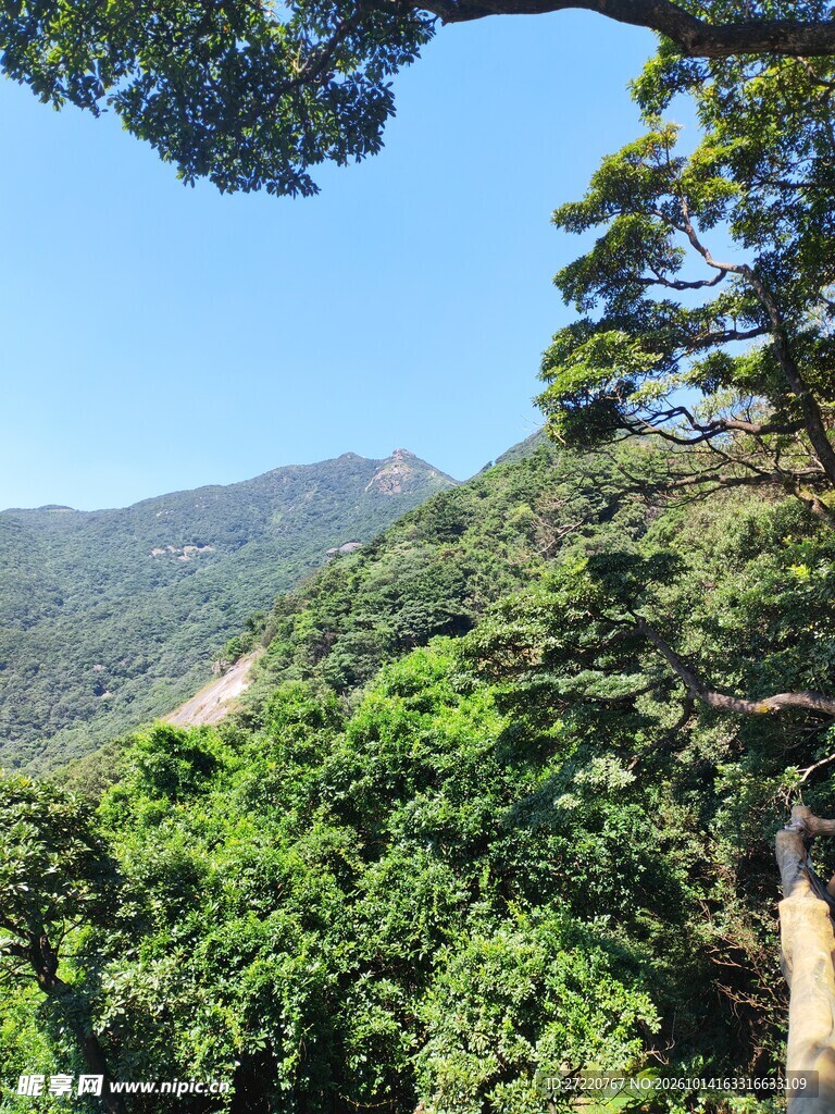 晴日山林翠色风光 罗浮山
