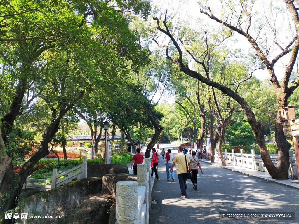 公园林荫道散步的游人 罗浮山