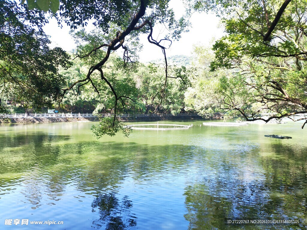 湖畔树林水景风光 罗浮山