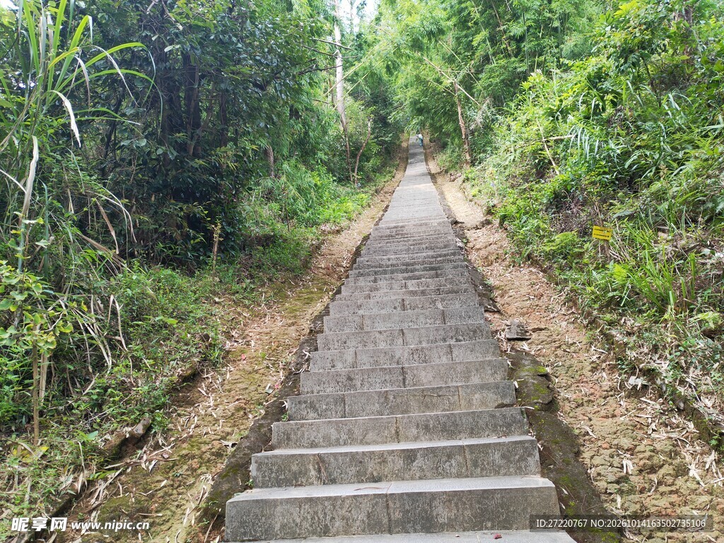 林间登山石阶步道