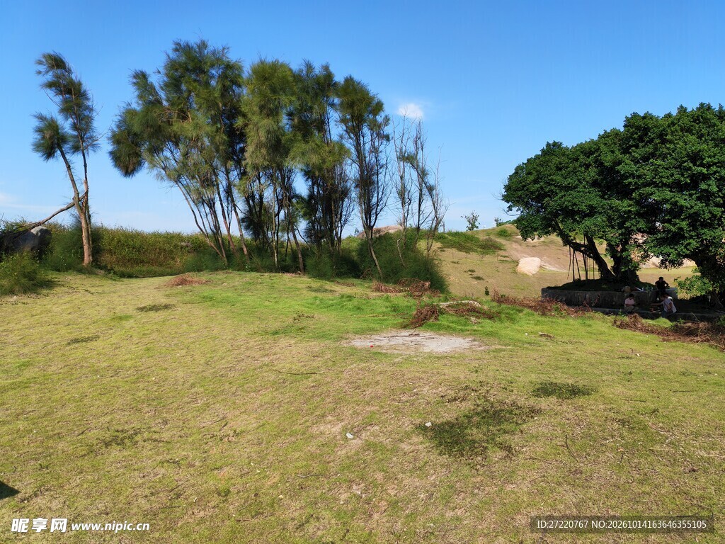 郊野晴日草地树林风光