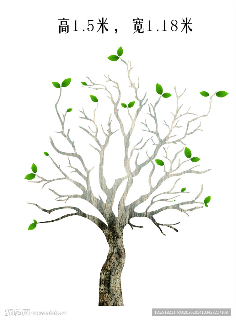 带新芽的简约树木插画 柿子树