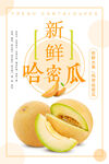 新鲜哈密瓜宣传海报