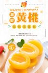 黄桃美食宣传海报