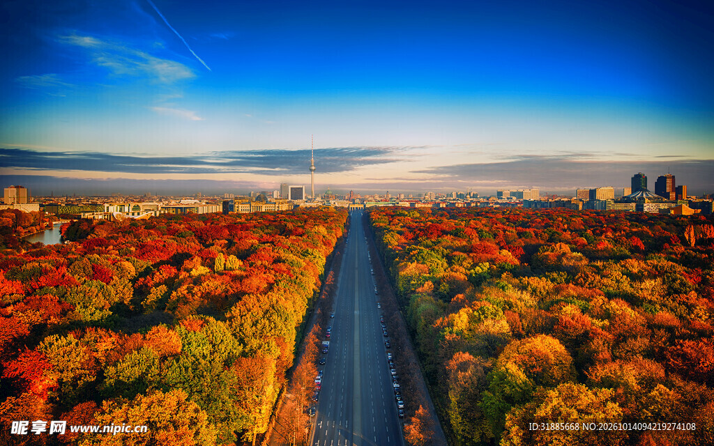 秋日郊野公路风光