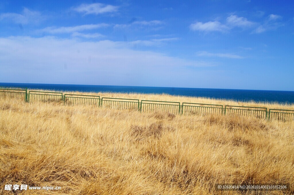 海岸原野自然风光
