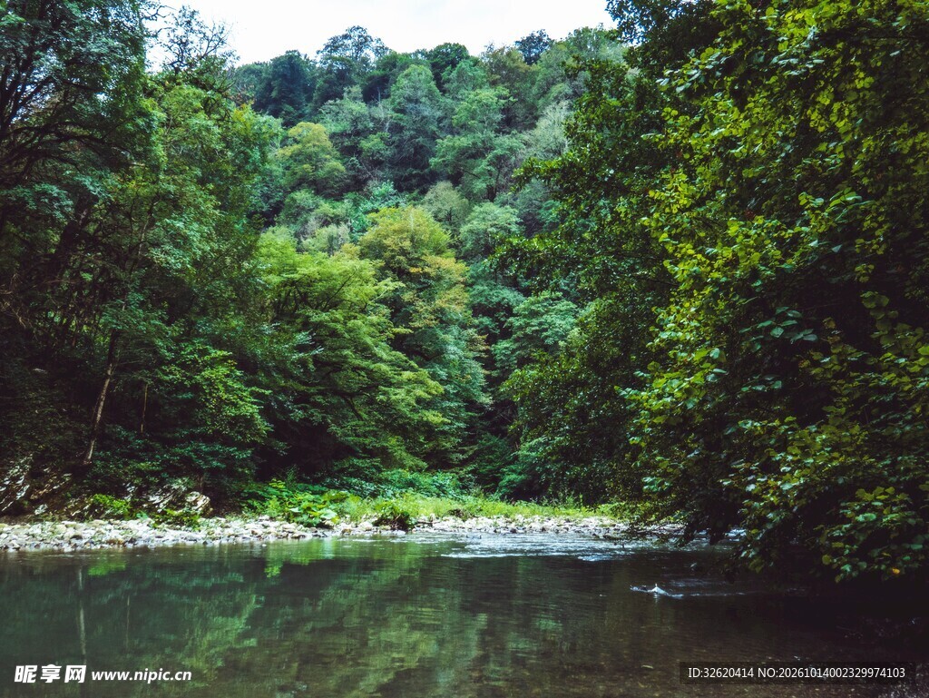 河畔林间自然水景
