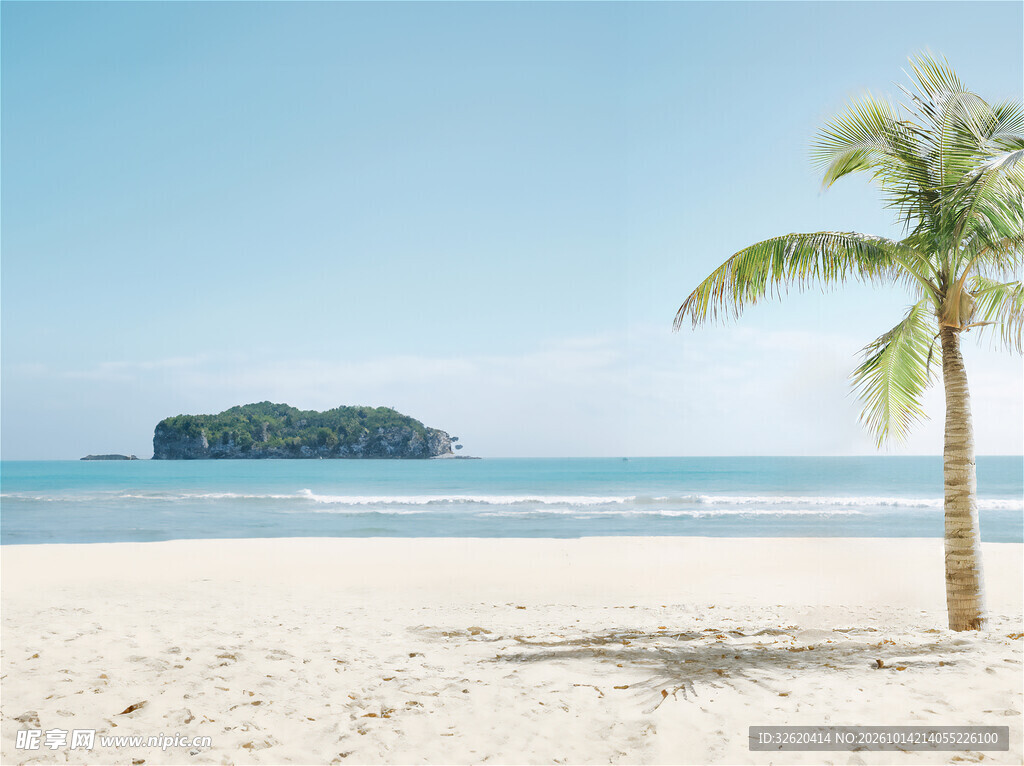热带滨海沙滩椰树风景