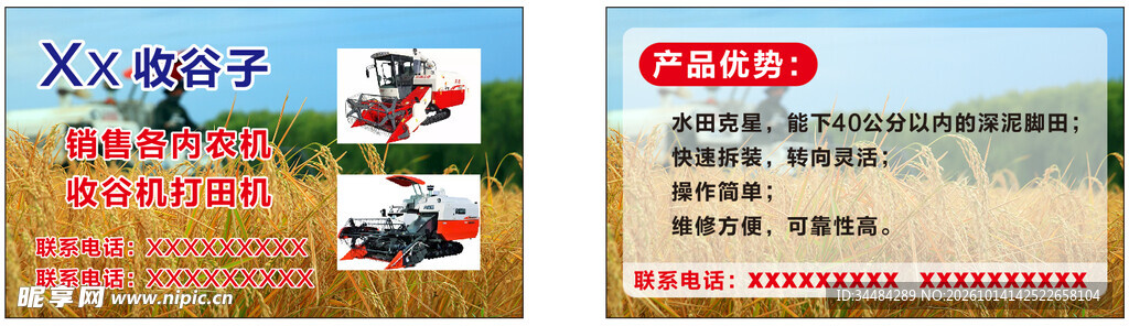 收谷子小麦