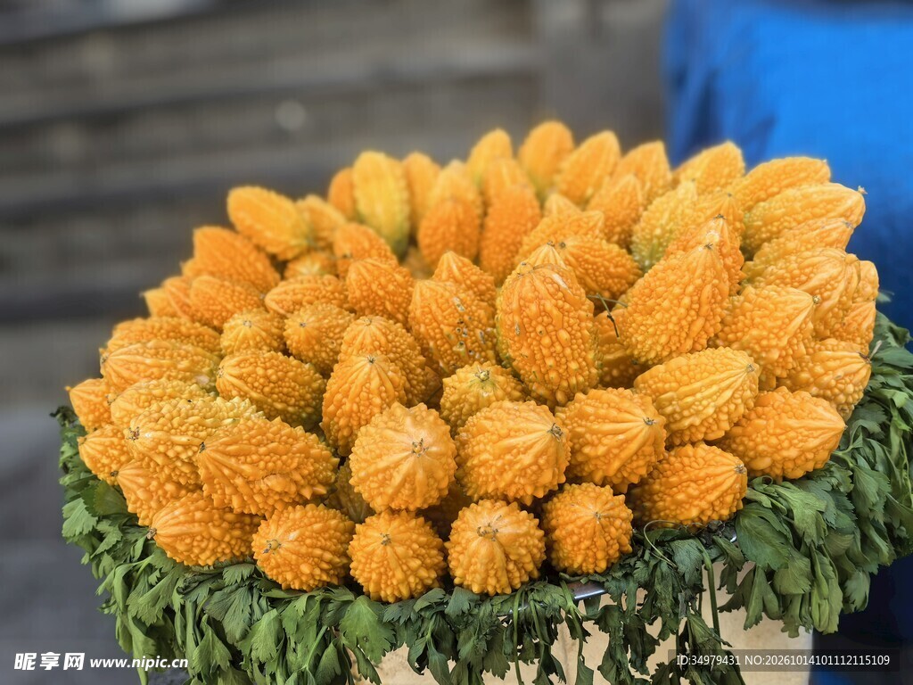 苦瓜