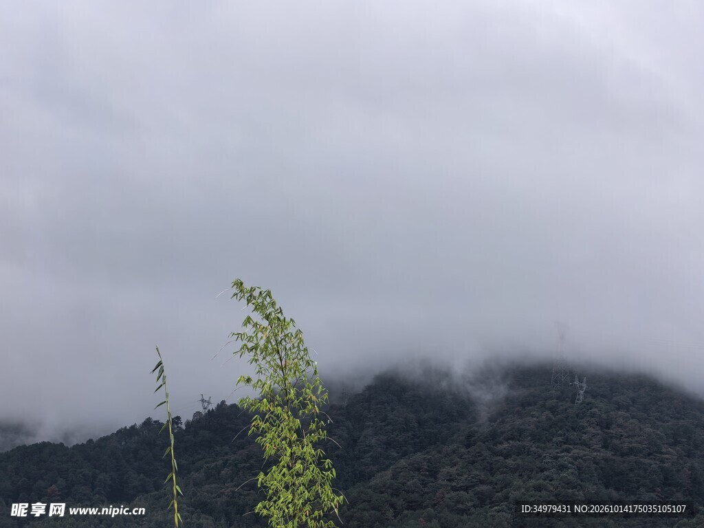  山野