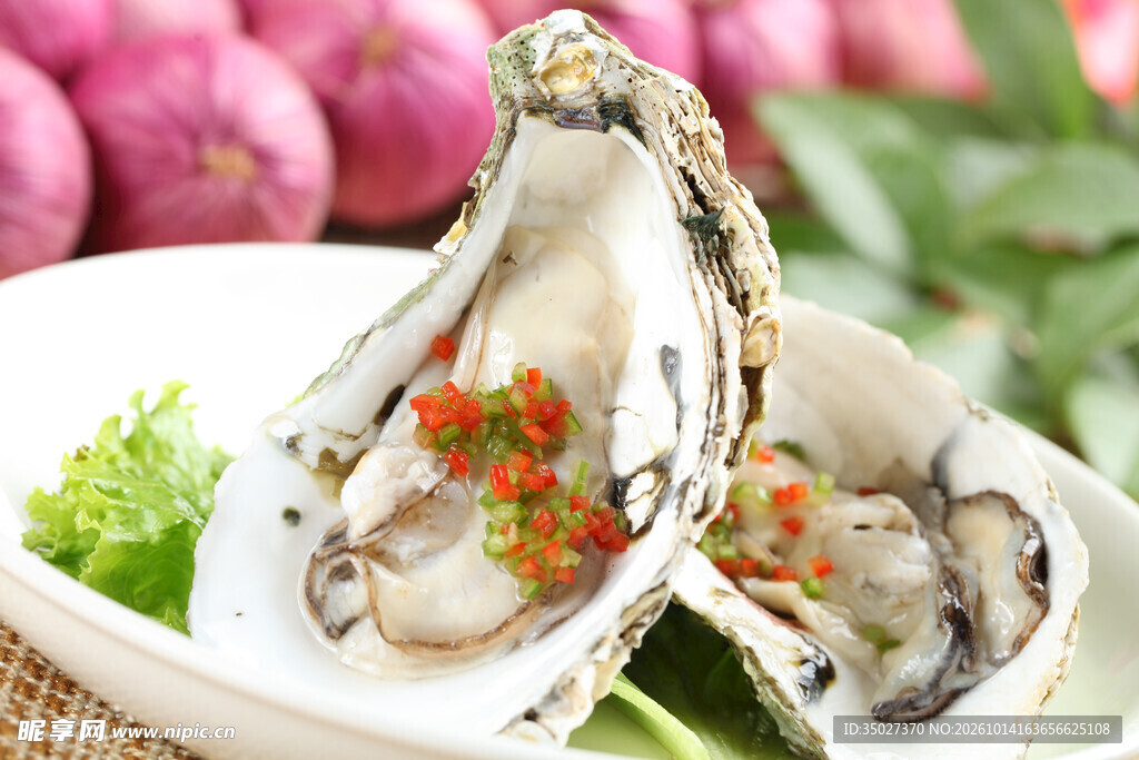 美味生蚝料理