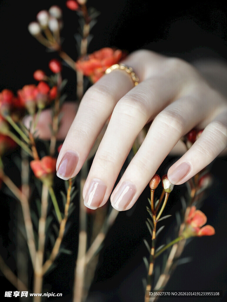 美甲手与红色花枝