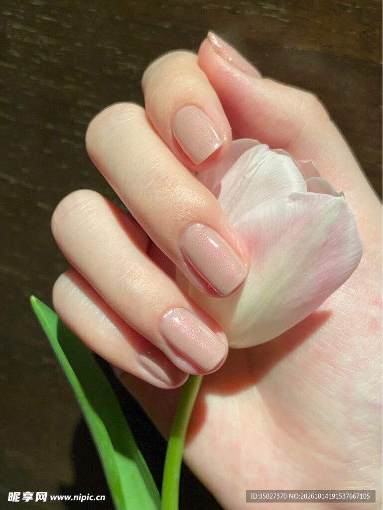 裸色美甲持粉郁金香特写