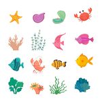 海洋生物合集