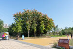 晴日城市公园风光
