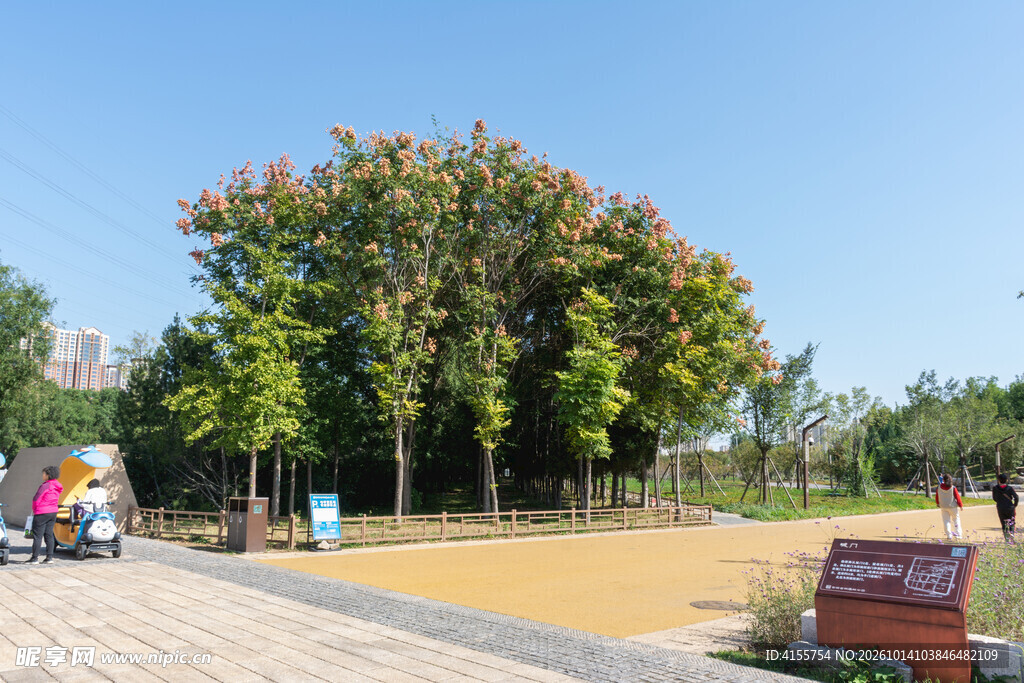 晴日城市公园风光