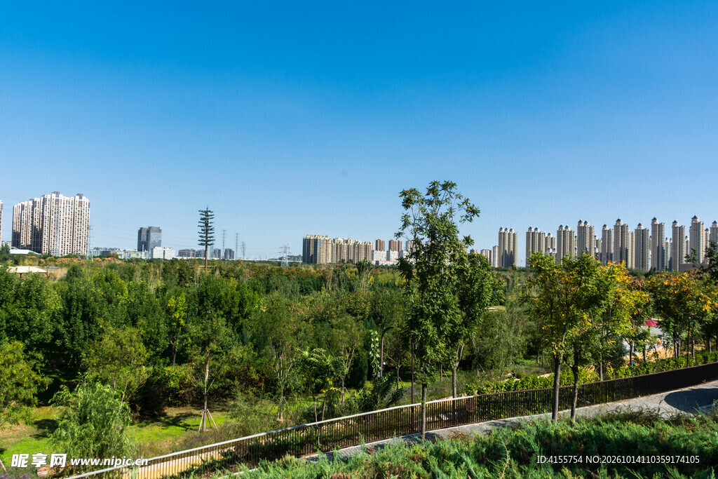 城郊绿地远眺城市风光