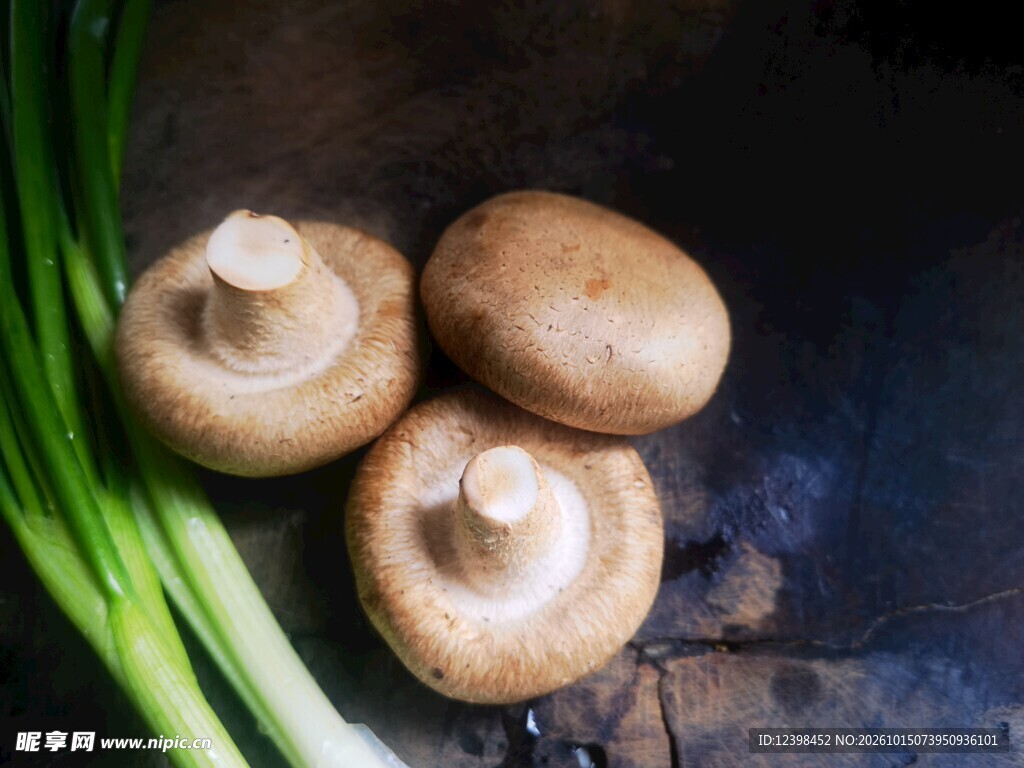 香菇