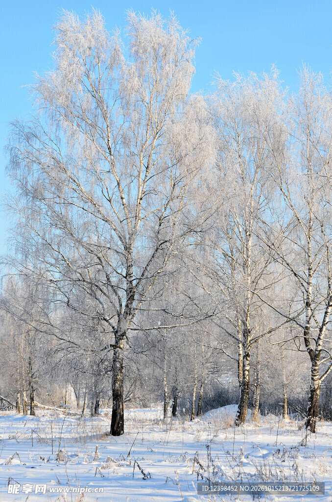 雾凇雪景