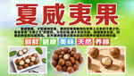 夏威夷果