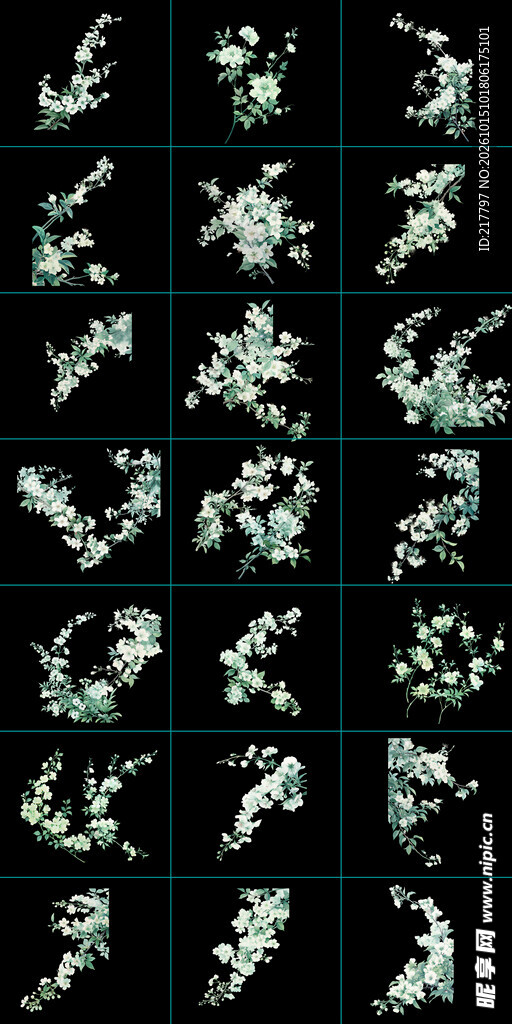 白色梨花