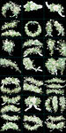 白色小花