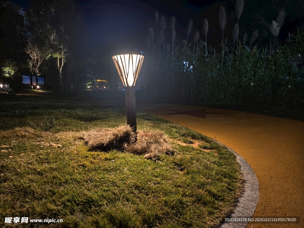 夜晚公园草坪灯