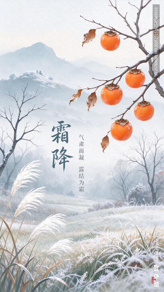 霜降节气柿子国风插画