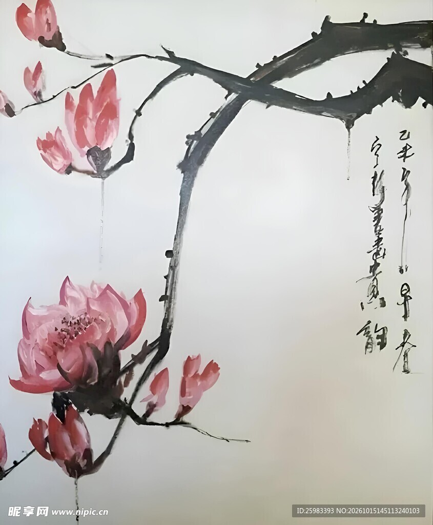 玉兰绽放图