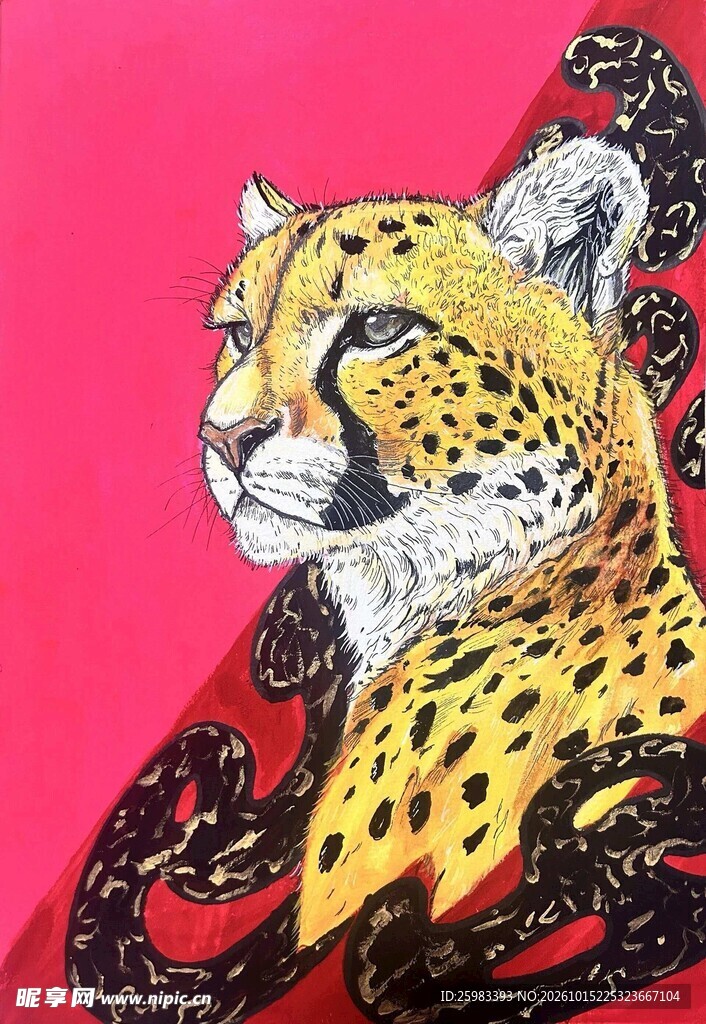 猎豹插画