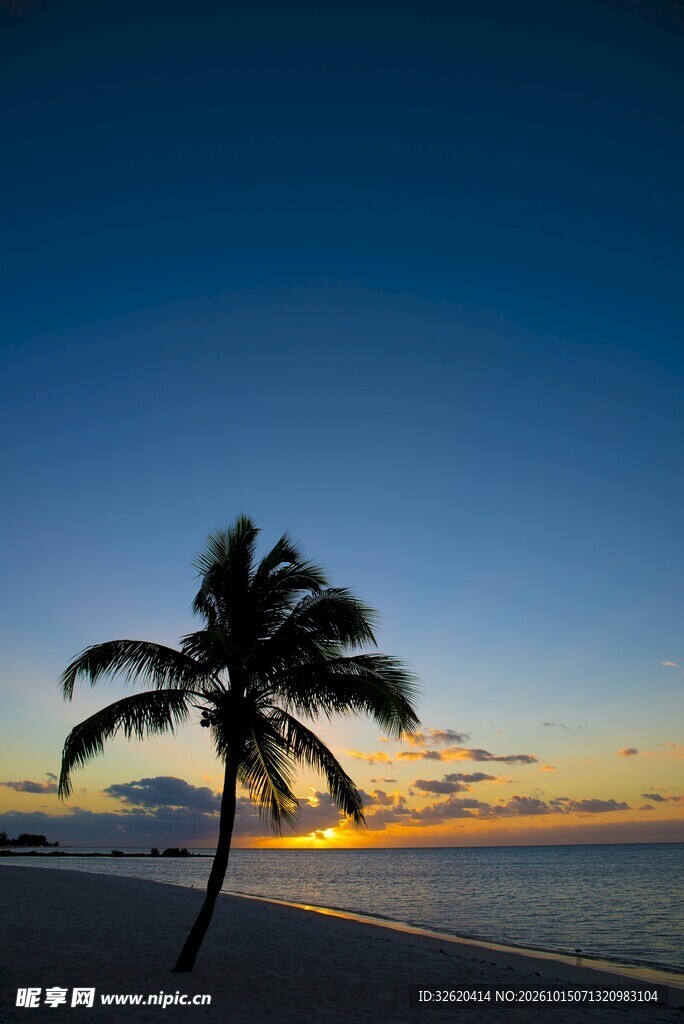 海边日落椰树