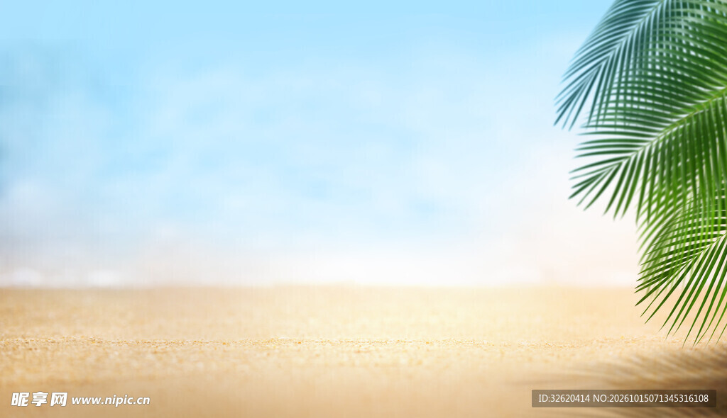 夏日沙滩椰叶