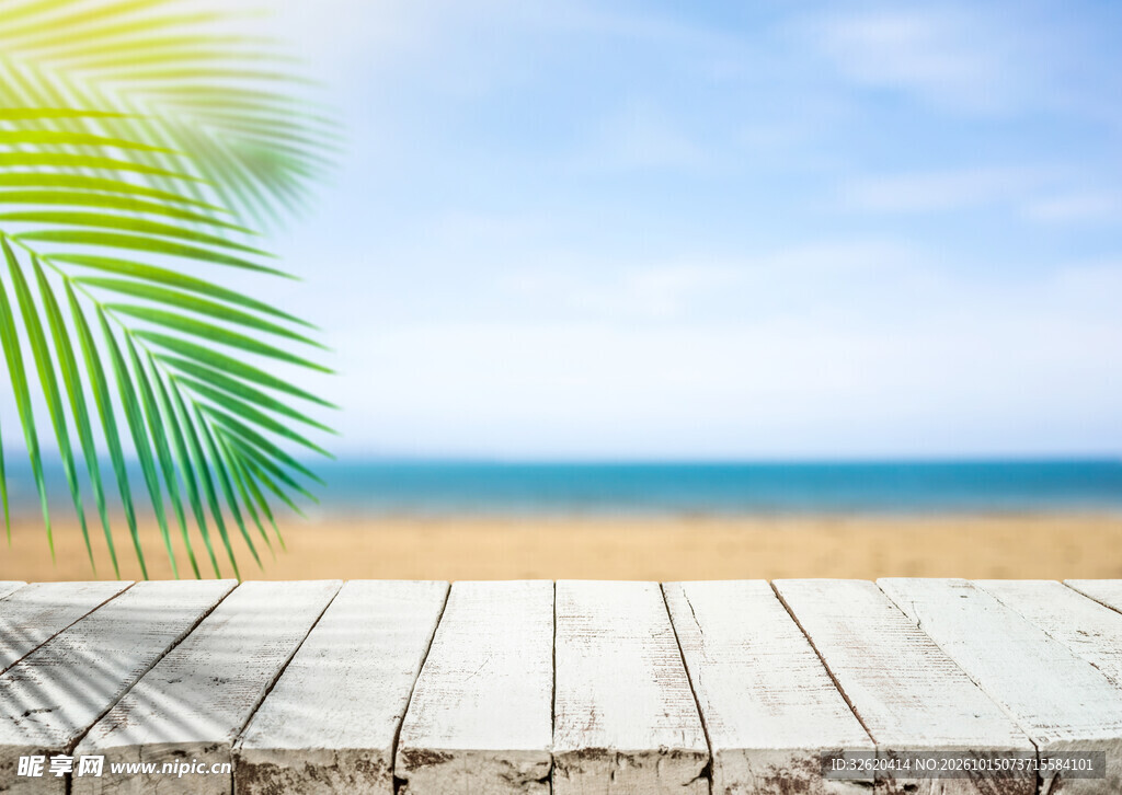 清新夏日海边风光