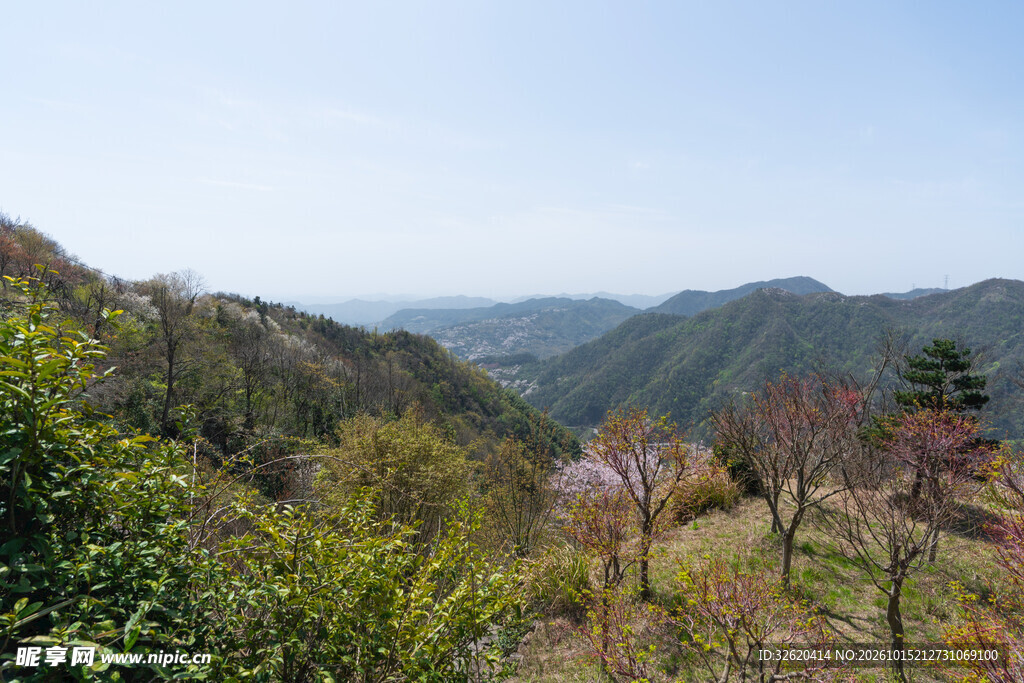 春日山野自然风光