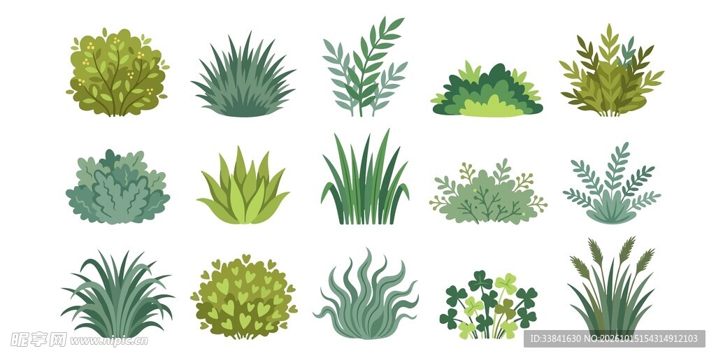 绿植插画合集
