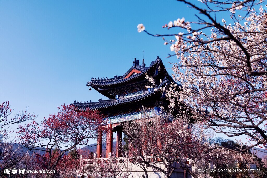 蓝天下古亭春景