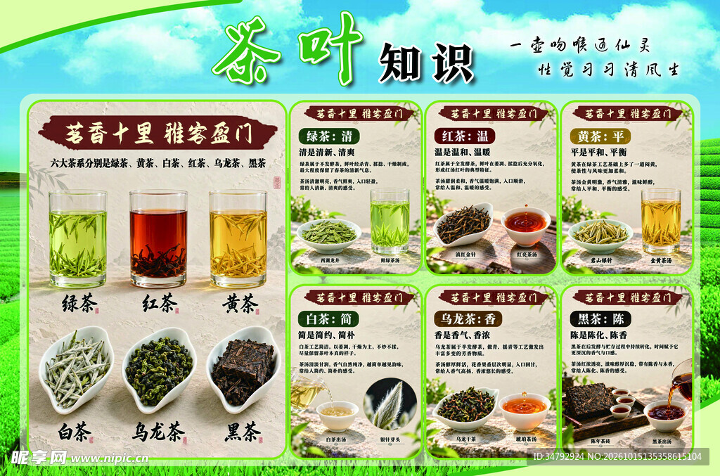 茶叶知识科普海报