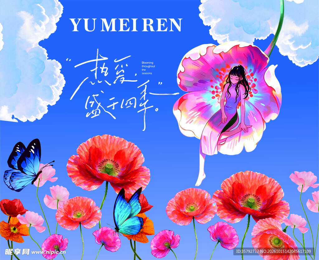 虞美人 海报  花朵