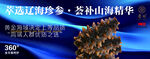 海参宣传海报