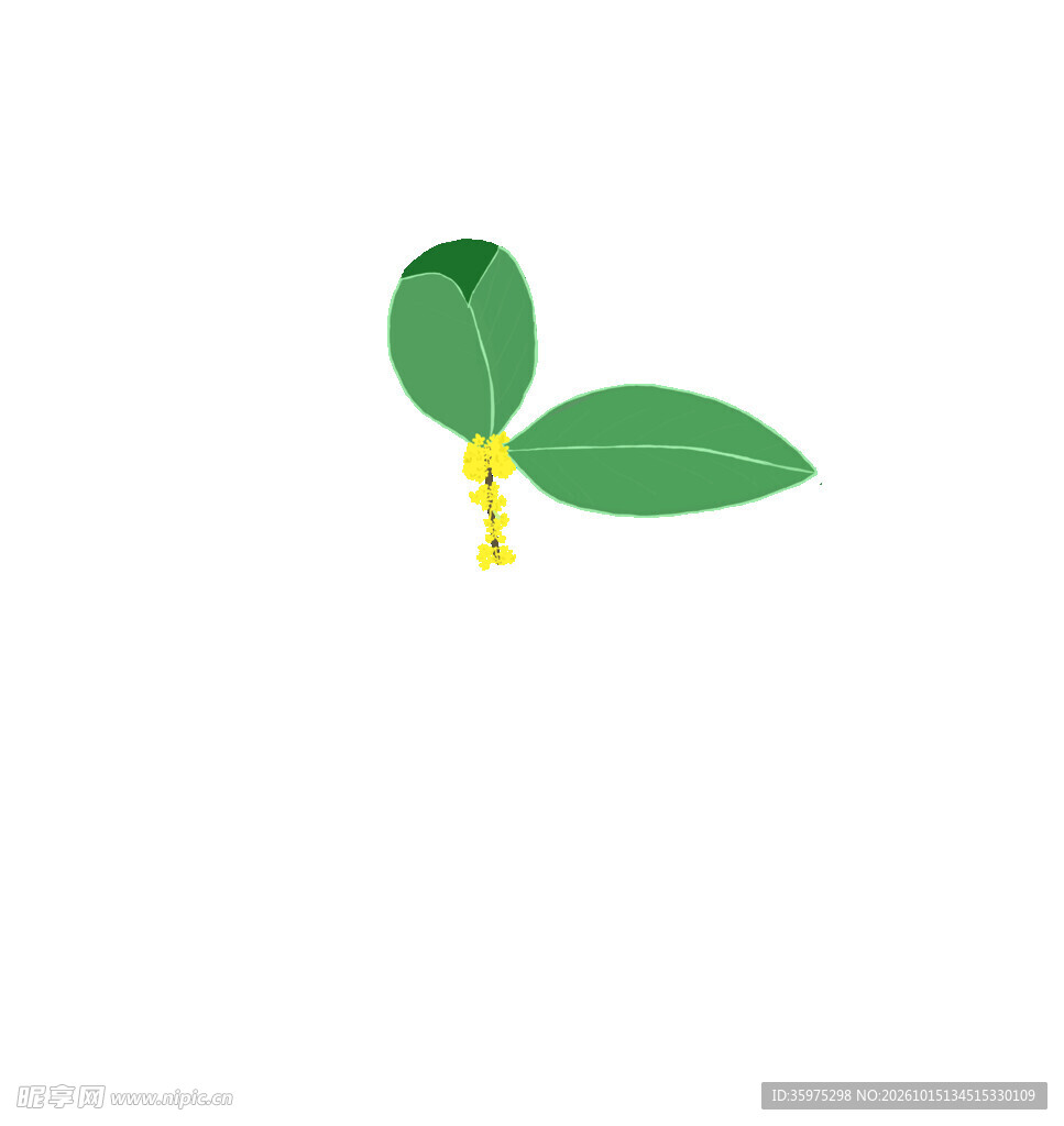 桂花枝免扣元素