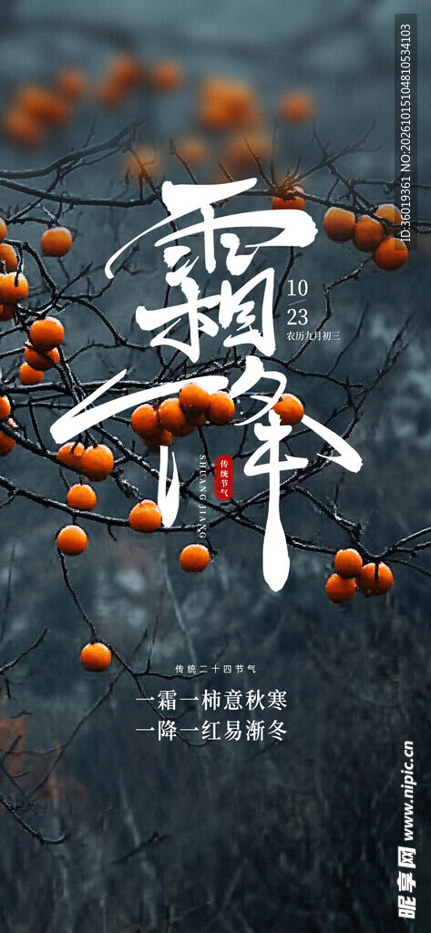 霜降节气国风创意海报