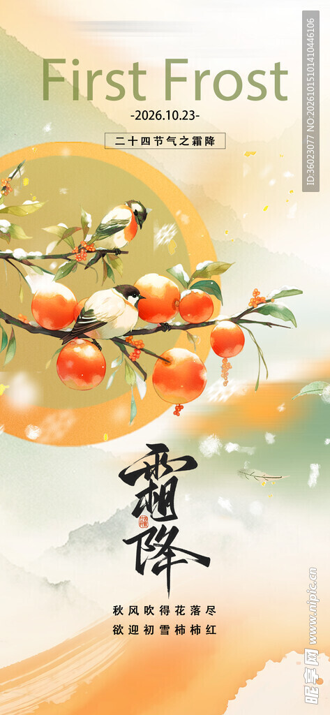 霜降节气柿子插画海报