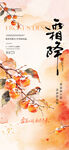 霜降节气水墨柿子海报