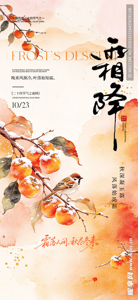 霜降节气水墨柿子海报